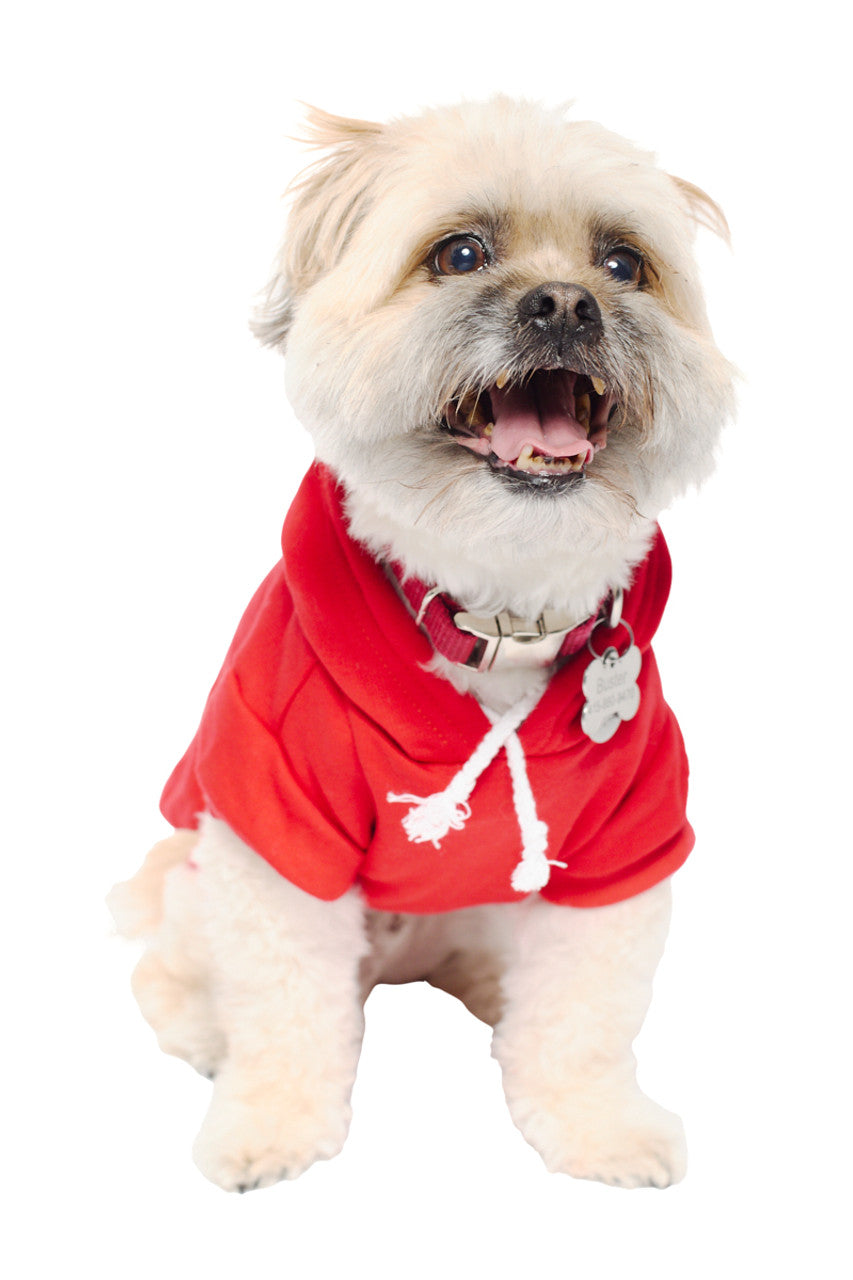 A fluffy dog wearing the Red Dog Hoodie with a red and gold logo patch sits with its mouth open against a white background.