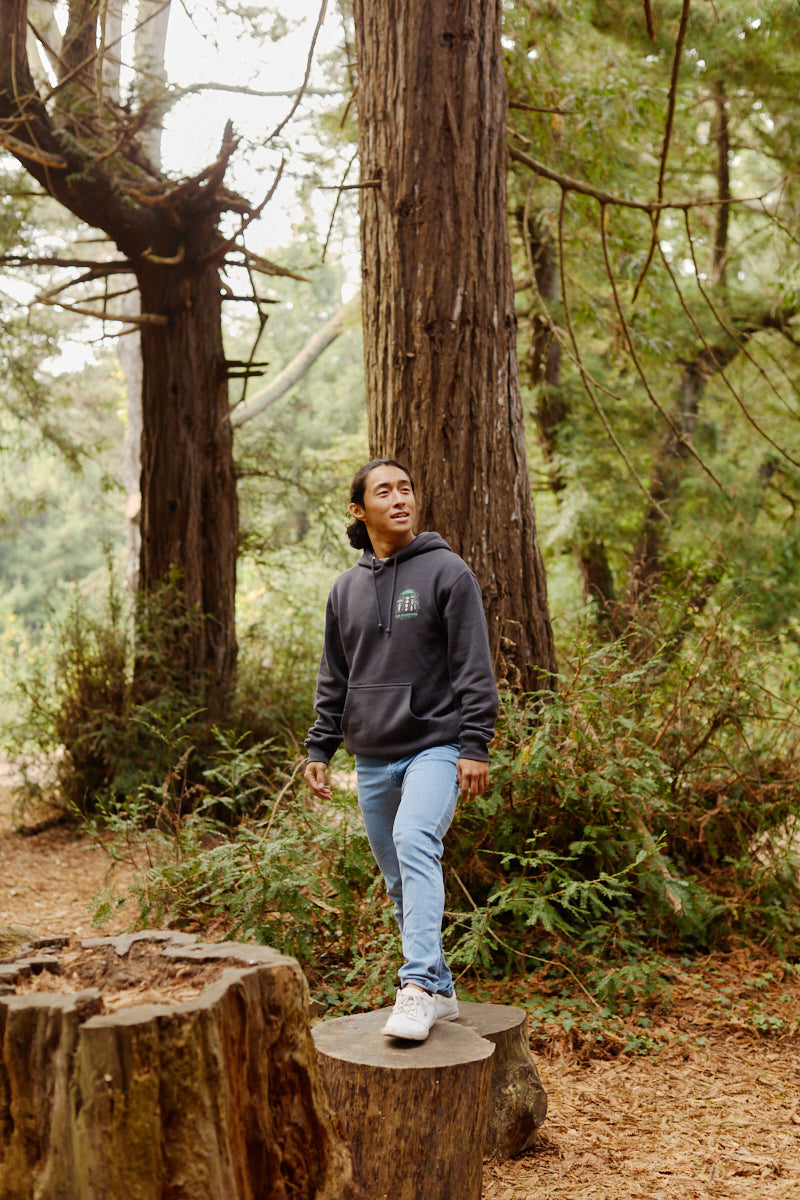 Wearing the Mind Bloom Pullover Hoodie, a person stands on a tree stump in a forest, surrounded by tall trees and lush greenery.