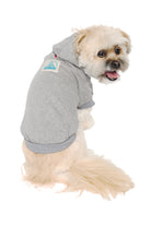 A stylish fluffy dog is sitting and looking at the camera, cozily wrapped in a warm Grey Dog Hoodie featuring a Natural/Blue Logo Patch on the back.